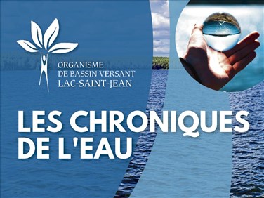 Chronique de l'eau