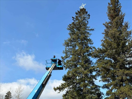 Isle-Maligne a le plus haut sapin jamais illuminé au Québec