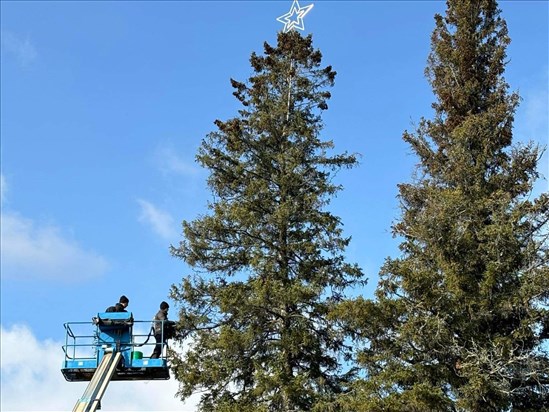 Isle-Maligne a le plus haut sapin jamais illuminé au Québec