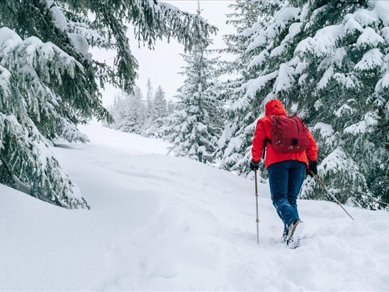 Comment réussir un week-end en refuge de montagne?